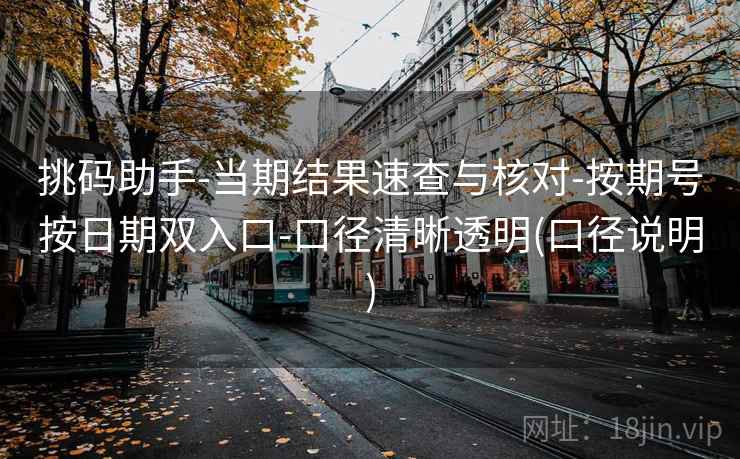 挑码助手-当期结果速查与核对-按期号按日期双入口-口径清晰透明(口径说明)