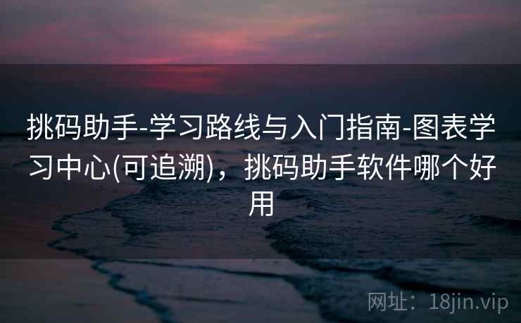 挑码助手-学习路线与入门指南-图表学习中心(可追溯),挑码助手软件哪个好用
